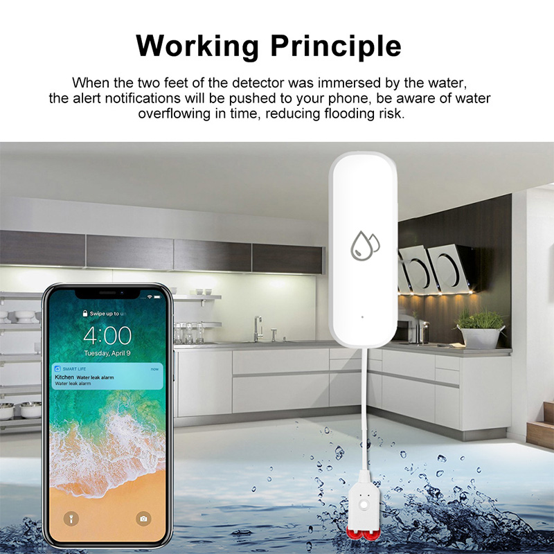 Tuya WiFi Water Leakage Alarm  - Smart Home News ulasan dan harga